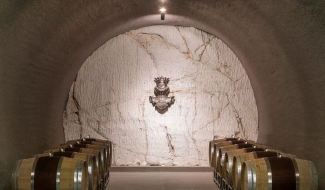 Cellar