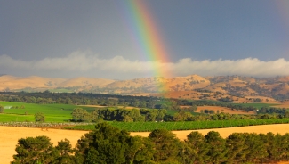 Rainbow