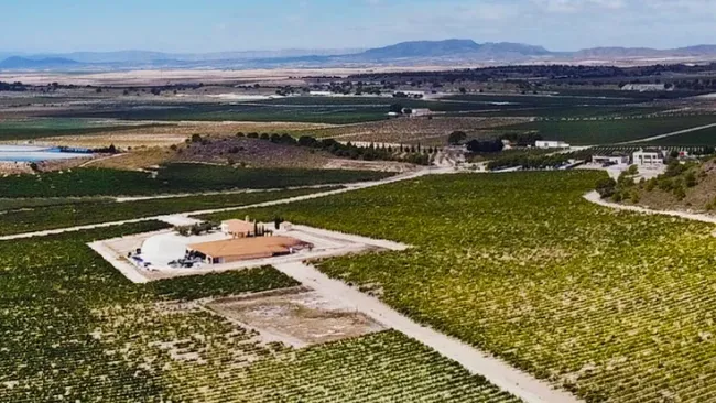Estate