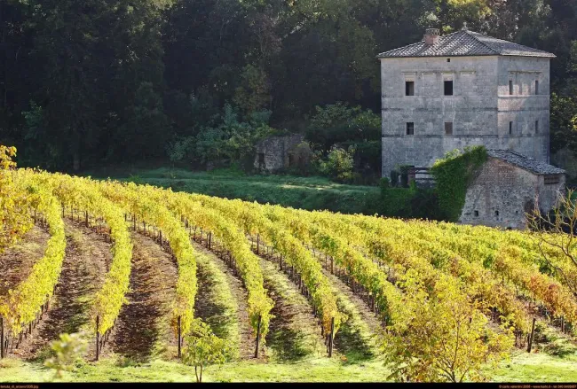 Estate1