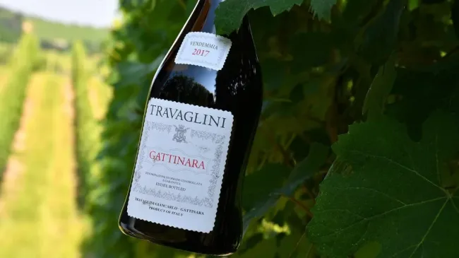Bottle1