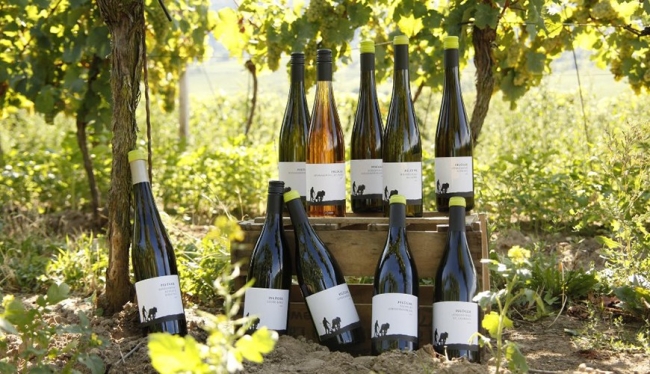 Bottles