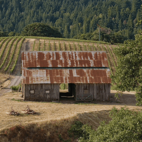 Barn