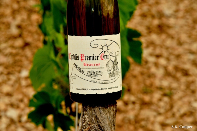 Bottle2