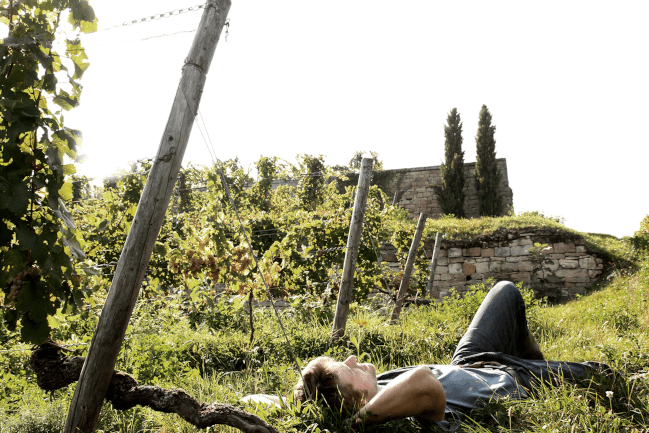 Winemaker2