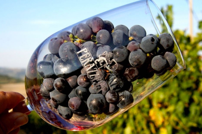 Grapes