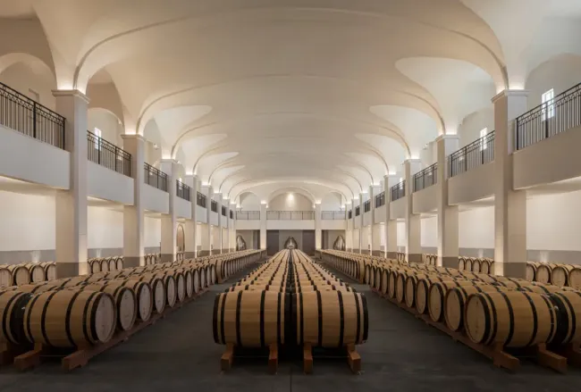 Cellar