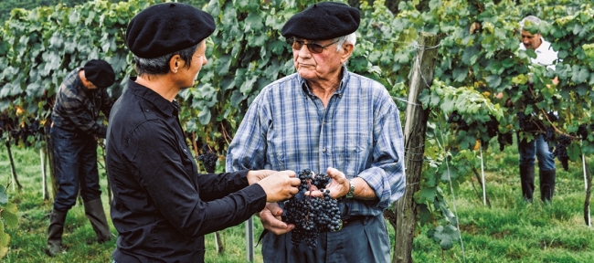 Winemakers