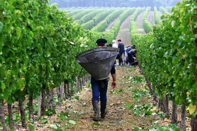 Worker