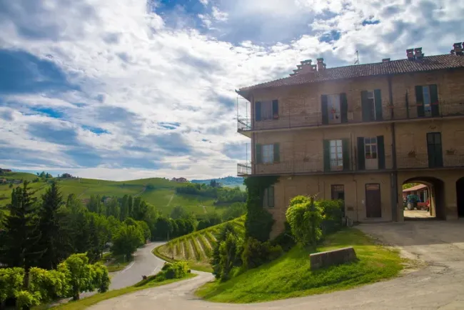 Estate