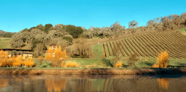 Pond