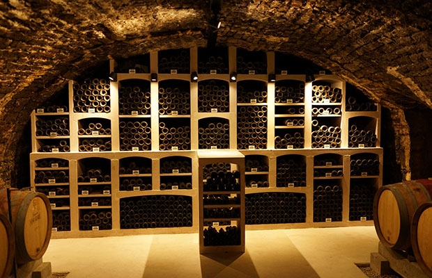 Cellar