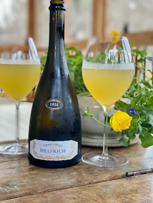 Mimosa