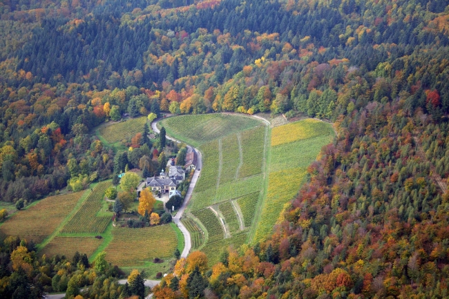 Aerial Shot