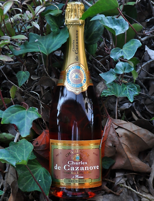 Bottle4