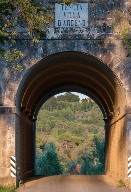 Tunnel